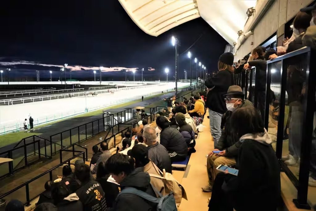 🏇 몬베츠 경마장 이미지 7